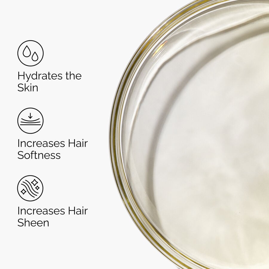 100-organic-cold-pressed-moroccan-argan-oil-b8 FY25-D41247-ORD-Web-PDP-100-Argan-Oil-1x1-EN-3.jpg