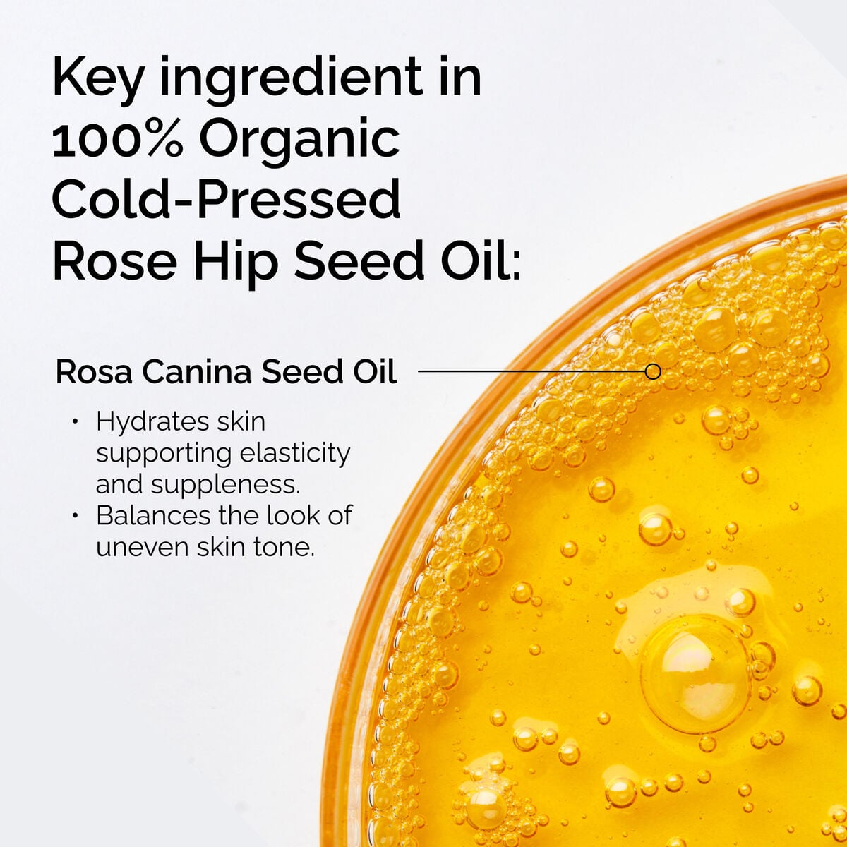 100-organic-cold-pressed-rose-hip-seed-oil-y4 FY25-D41247-ORD-Web-PDP-100-Rose-Hip-Oil-1x1-EN-2.jpg