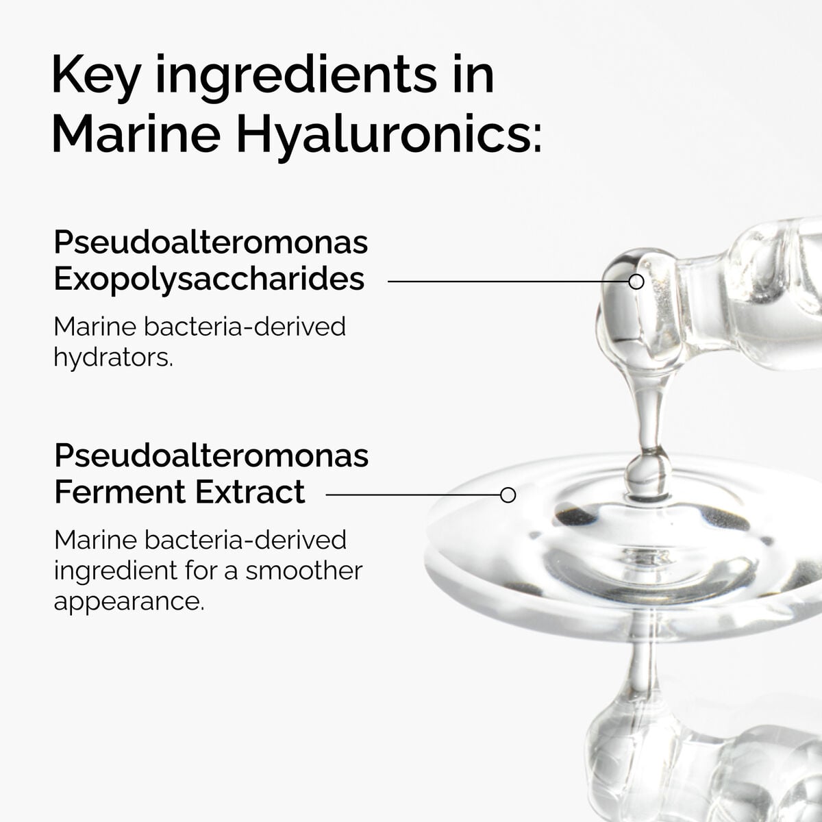 marine-hyaluronics-n8 FY25-D41247-ORD-Web-PDP-Marine-Hya-1x1-EN-2a.jpg