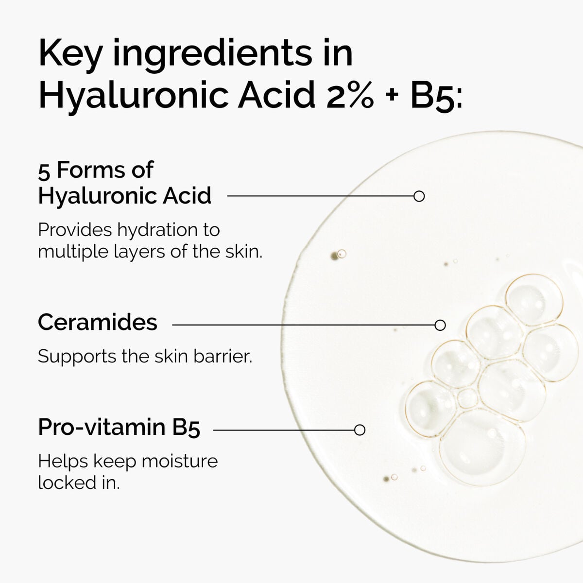 hyaluronic-acid-2-b5-with-ceramides-e0 ord-hyaluronic-acid-2pct-b5-hydrating-serum-ingredients-graphic.jpg